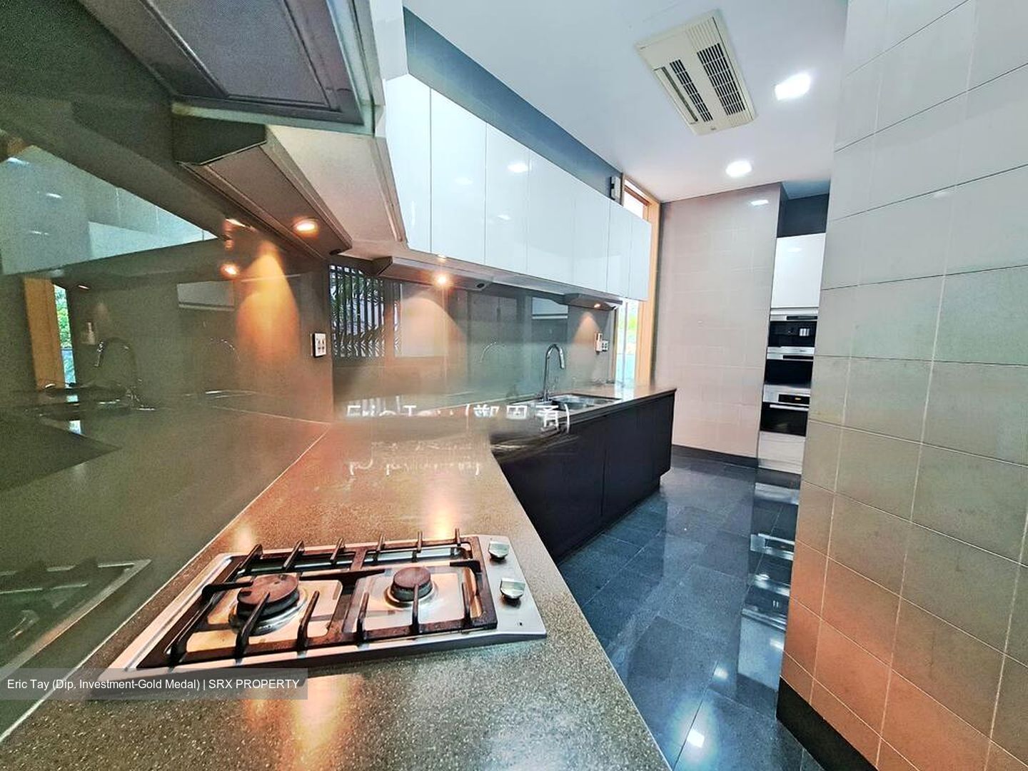 Belle Vue Residences (D9), Condominium #462527311